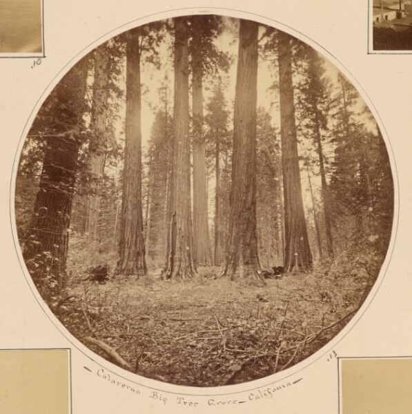 Carleton Watkins, James King of William, Keystone State, Etc. California.
