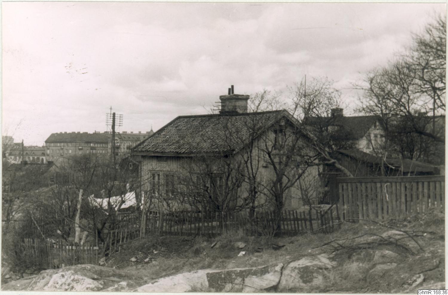 Otto Thulin, fotografi, bilder