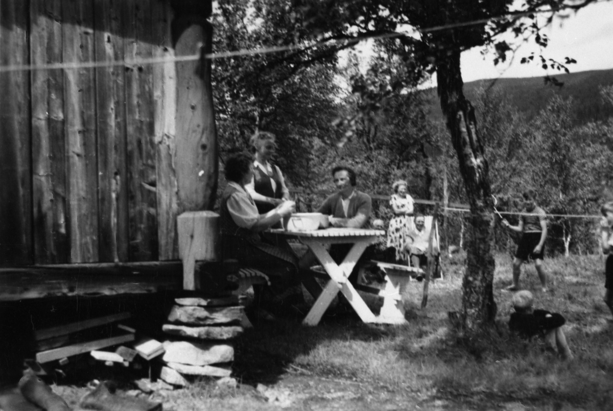 Ukjent, Hytteidyll