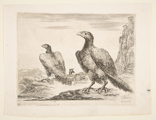 Stefano della Bella, Two eagles, from 'Eagles'  (Les aigles)