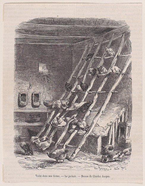 Charles Jacque, Visit to a Farm — The Roost, from "Le Magasin Pittoresque"