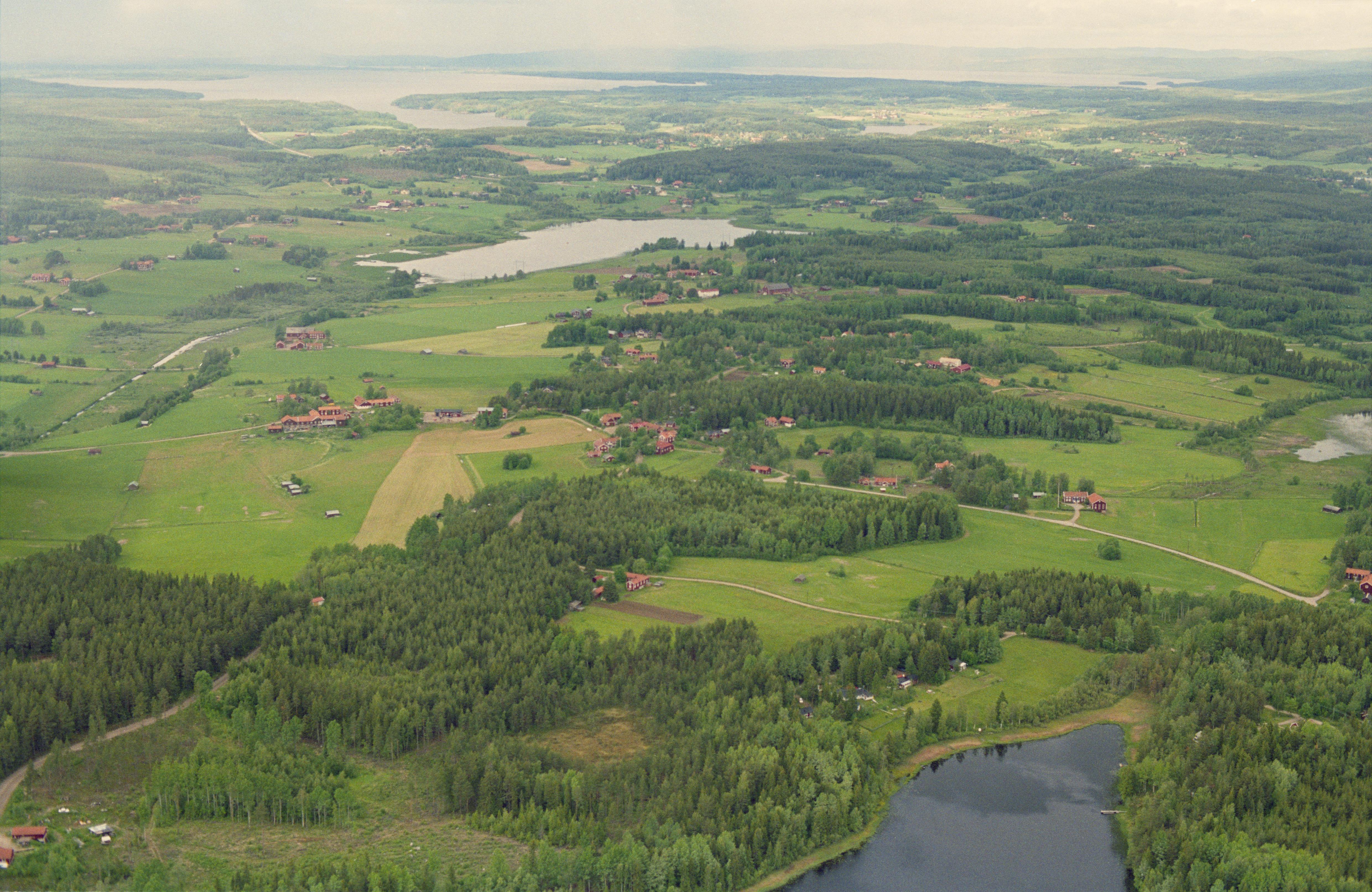 Jan Norrman, Forsa 71:1