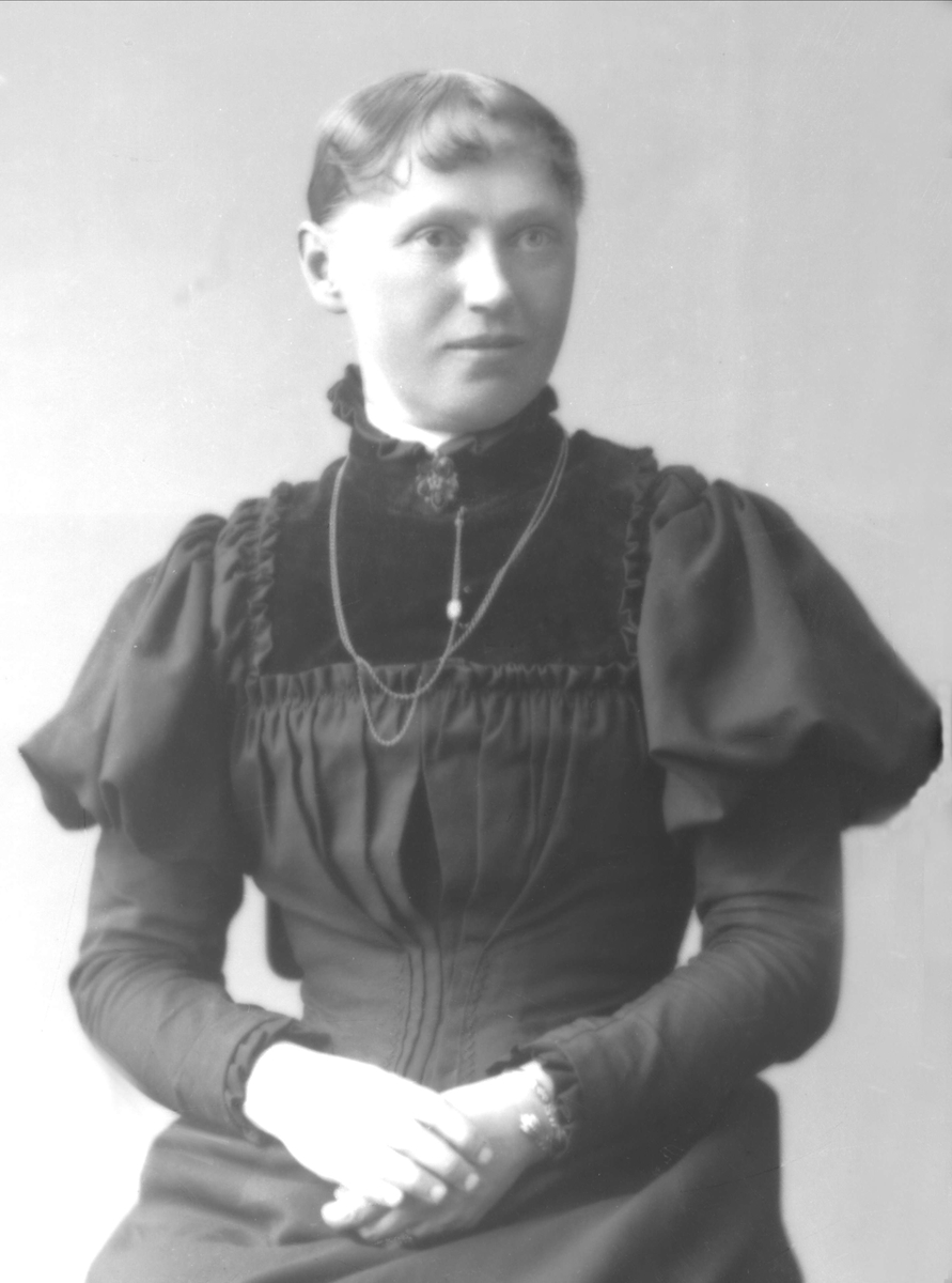Gustav Borgen, NFB.30311