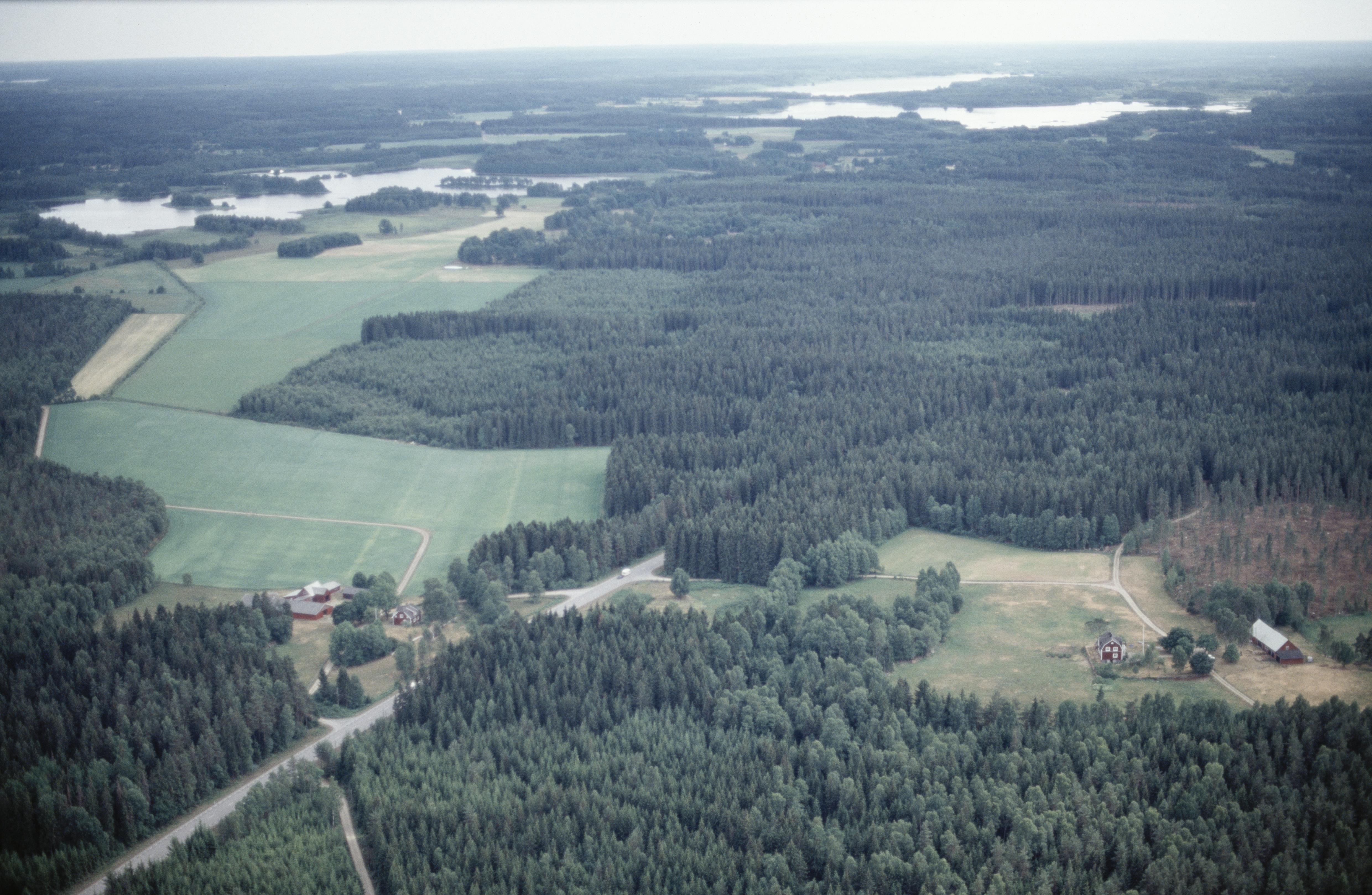 Jan Norrman, Virestad 240:1