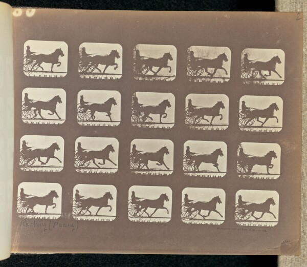Eadweard J. Muybridge, Racking (Pacing)