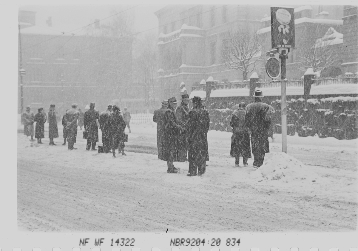 Anders Beer Wilse, Prot: Sneveir gatebilder