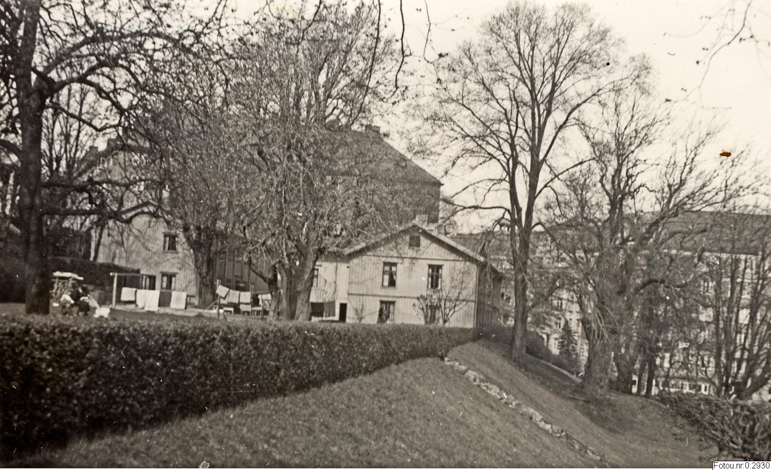 Hjalmar Wijk, fotografi, påsiktsbild, bilder