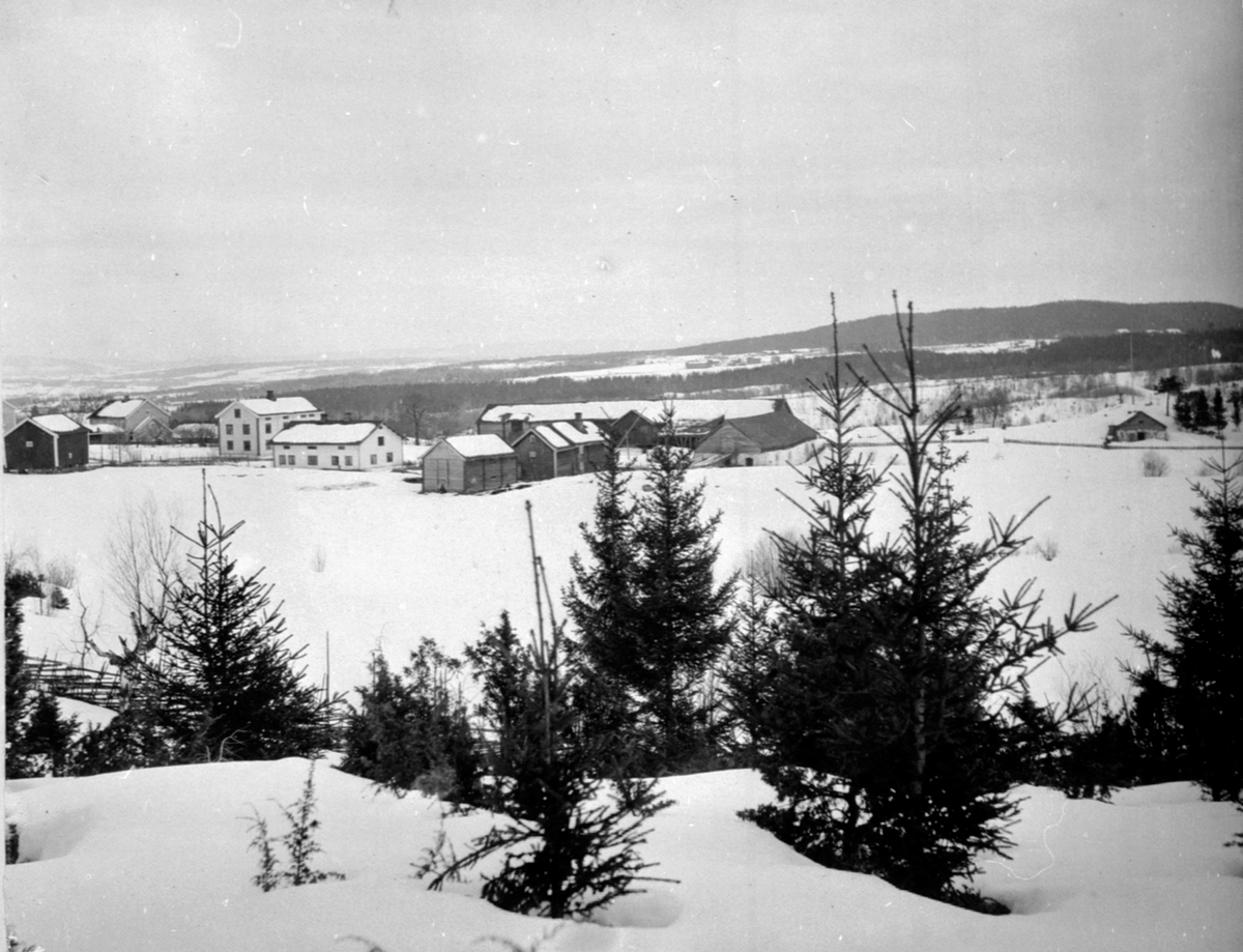 Anno Domkirkeodden, Eksteriør, gardsbruk, Doglo vestre, Furnes, vinter.