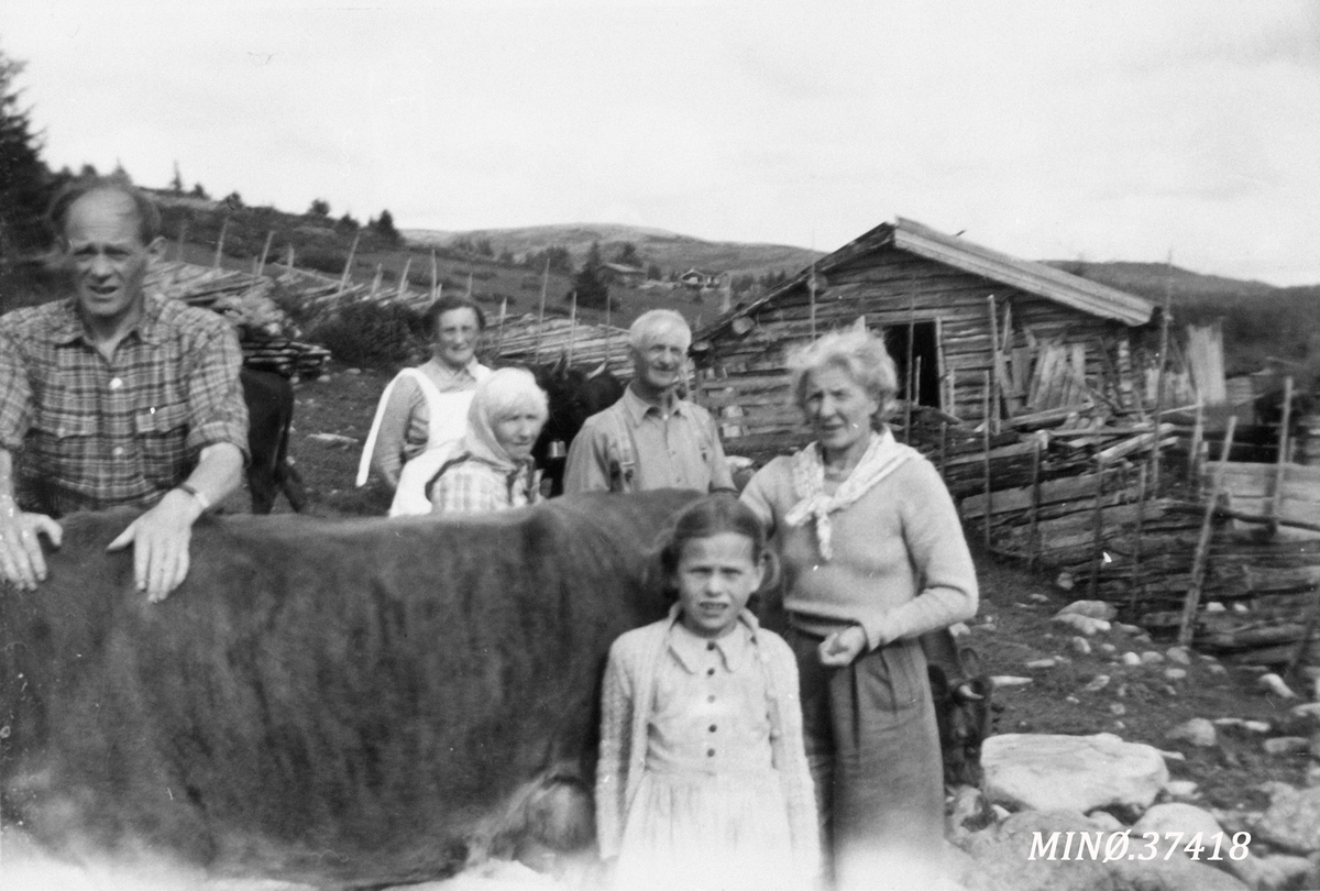 Ukjent, Folk og buskap på seter