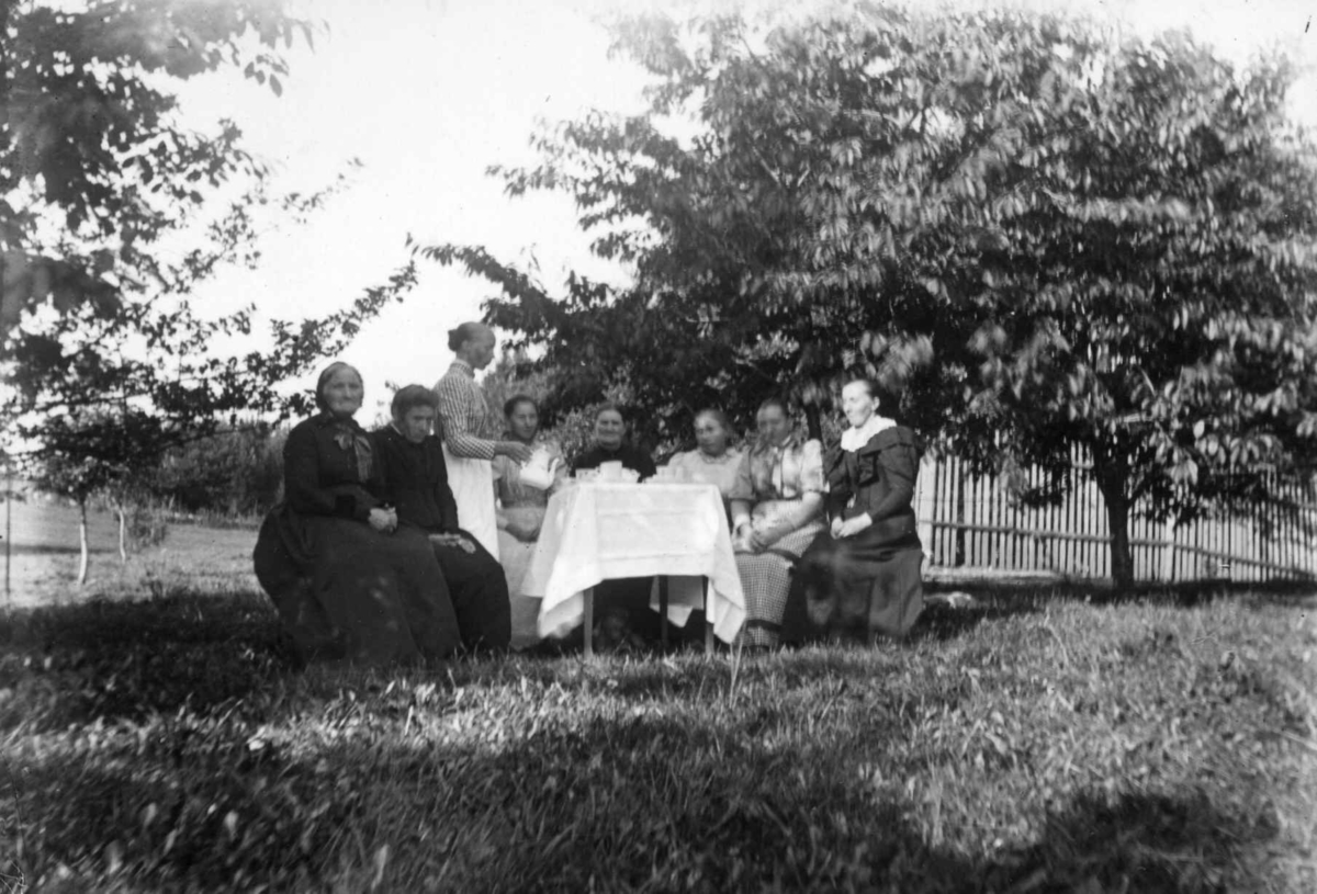 Hermann Christian Neupert, Div. drakt, Norge 1908-10. Hage med trær. Kvinner og en mann rundt et bord. Kvinnene i lange kjoler.