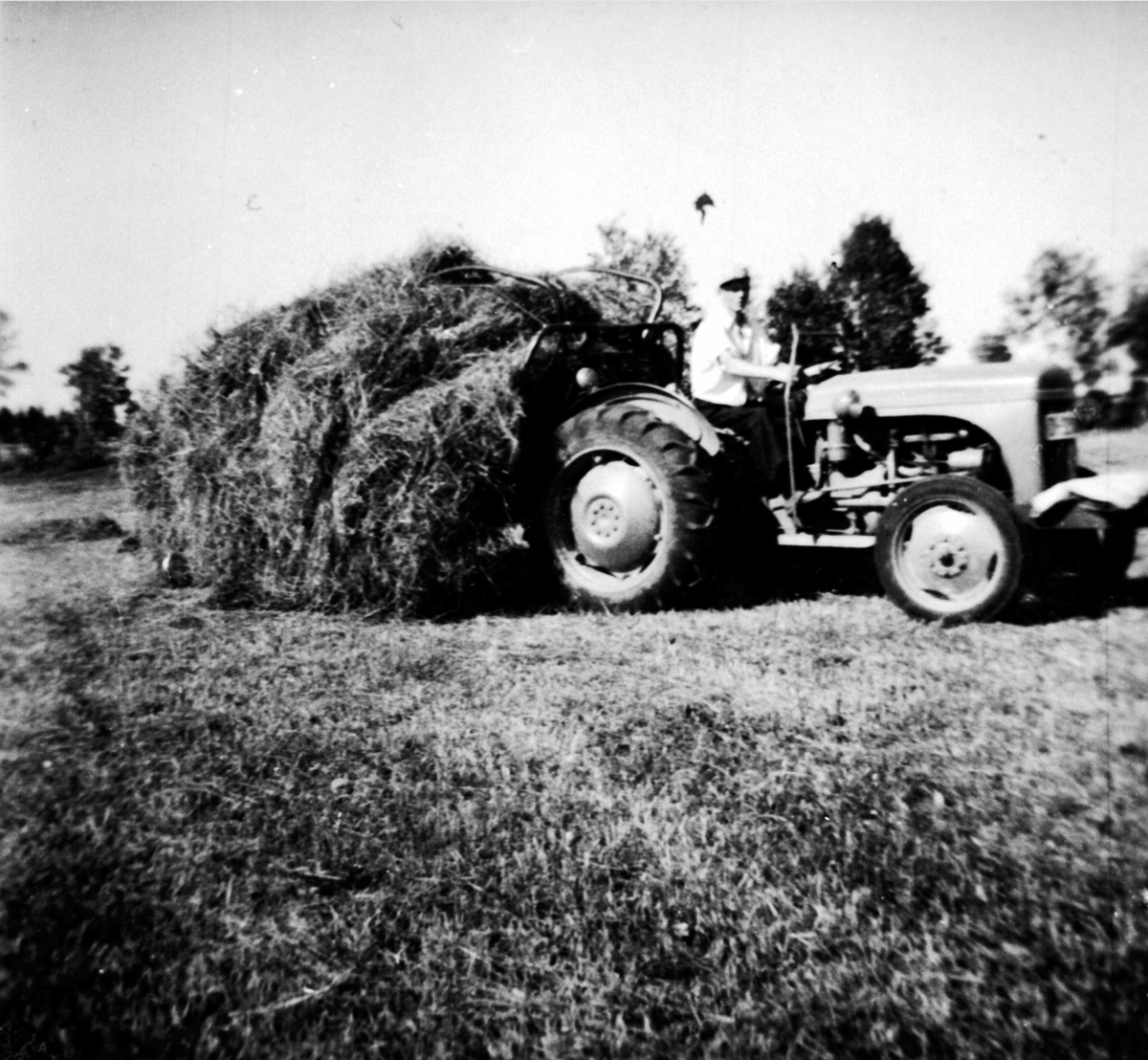 Anno Domkirkeodden, Høyonn på Rognstad gård, Ringsaker. Høykjøring med traktor og svans. Maurits Hatterud på traktoren.
