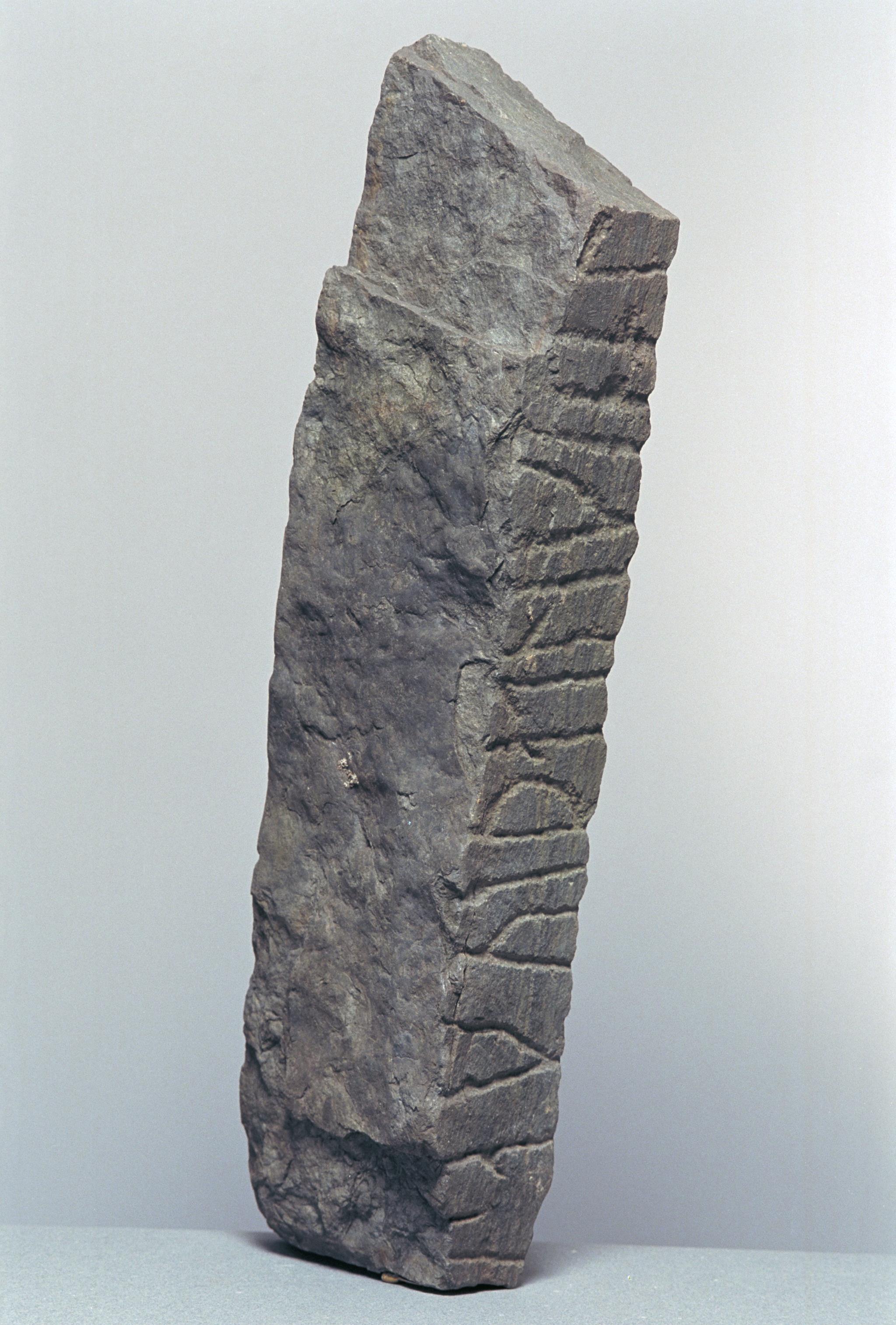 Bengt A Lundberg, SmNf2000 Visningsö