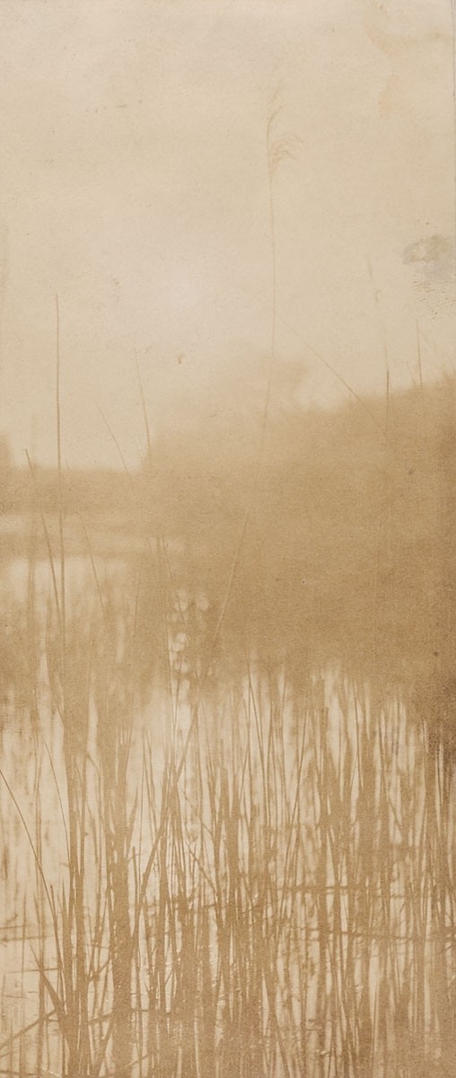 Pierre Dubreuil, Schilfteich im Mondlicht