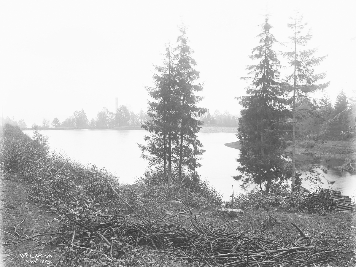 Anders Beer Wilse, Prot: Dalen Portland Cement, Brevik Tekst på bildet: D.P.C. okt 1918
