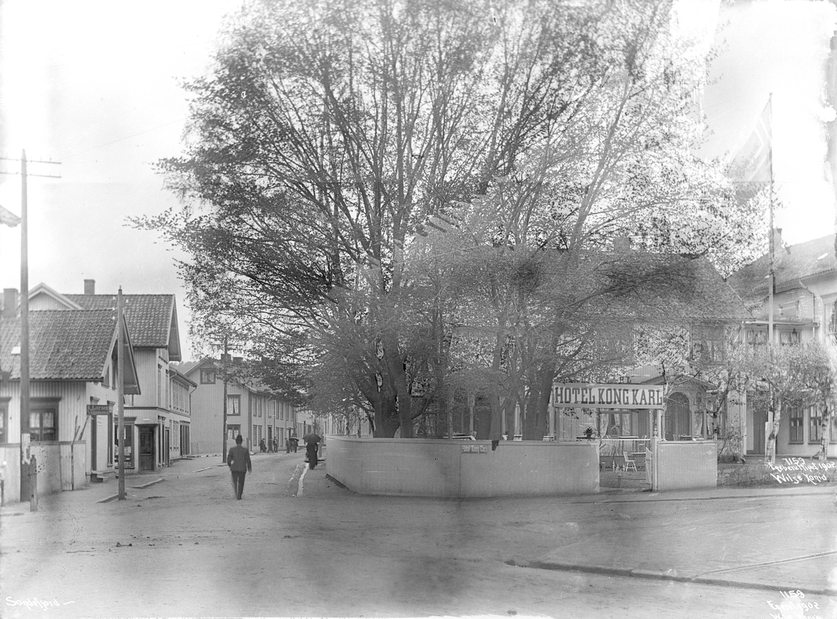 Anders Beer Wilse, Prot: Sandefjord - Hotel Kong Karl Juni 1902