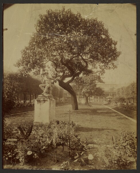 Eugène Atget, Jardin Palais-Royal