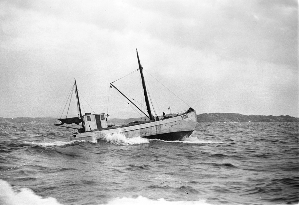 Anders Beer Wilse, Prot: Sildefiske paa havet Gumelius