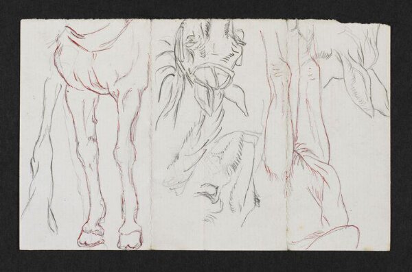 Potter, Beatrix, drawing