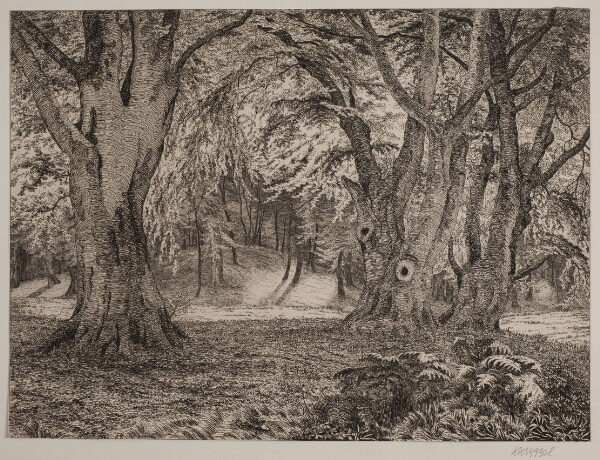 Vilhelm Kyhn, Det indre af en skov
