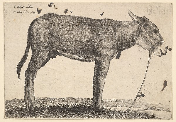 Wenceslaus Hollar, Donkey