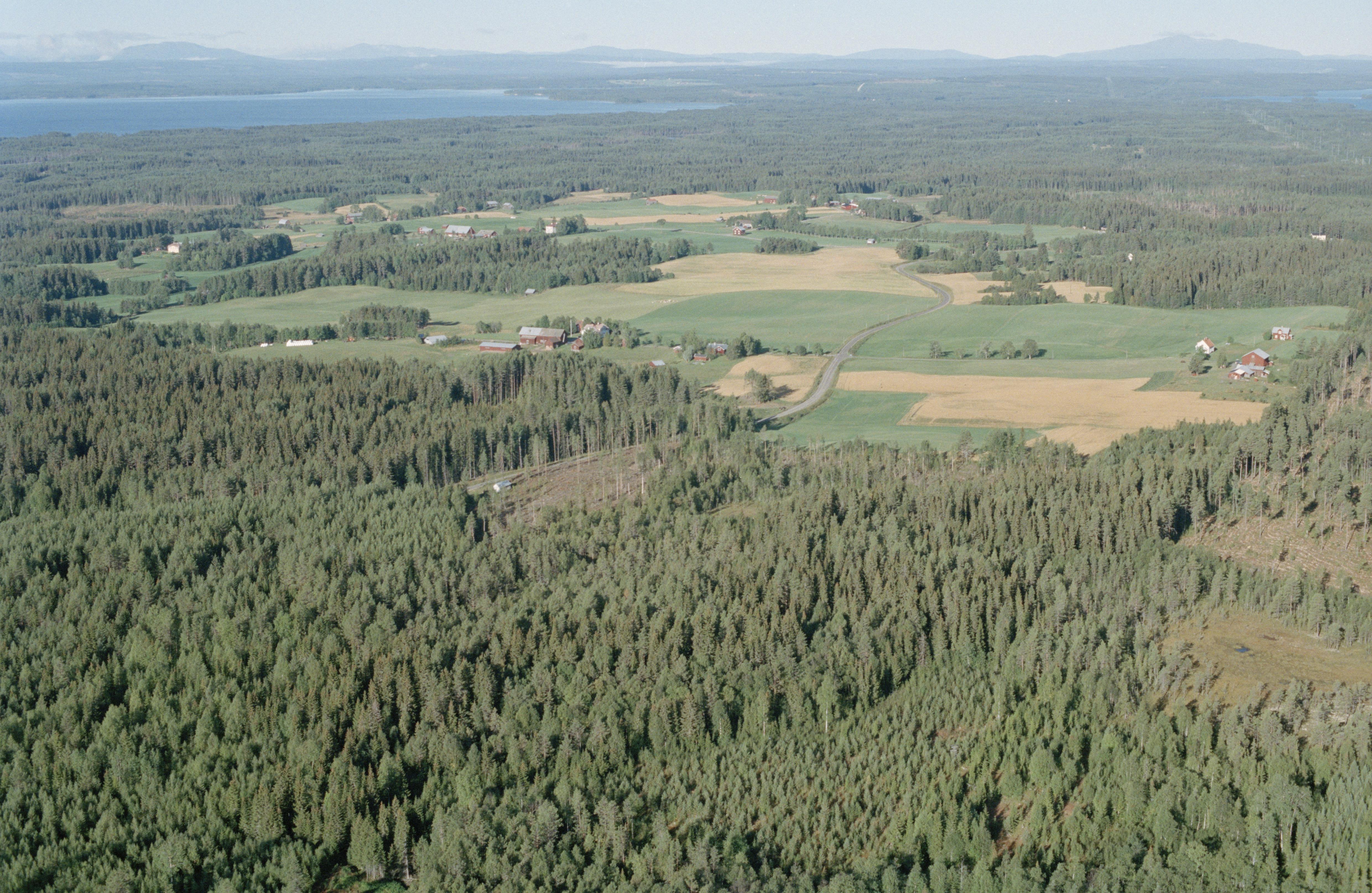 Jan Norrman, Näskott 183:1