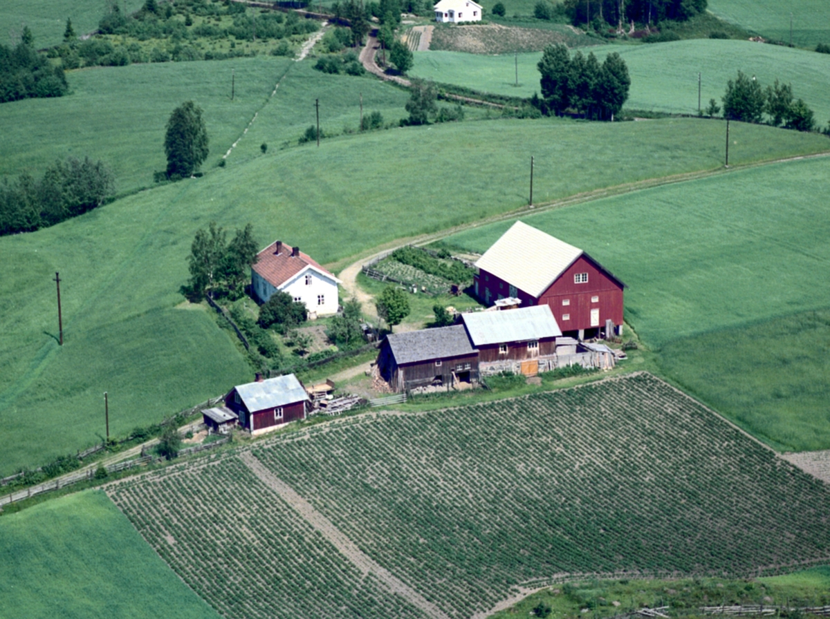 Widerøes Flyveselskap A/S, Flyfoto, Vesterhagen, Løten.
