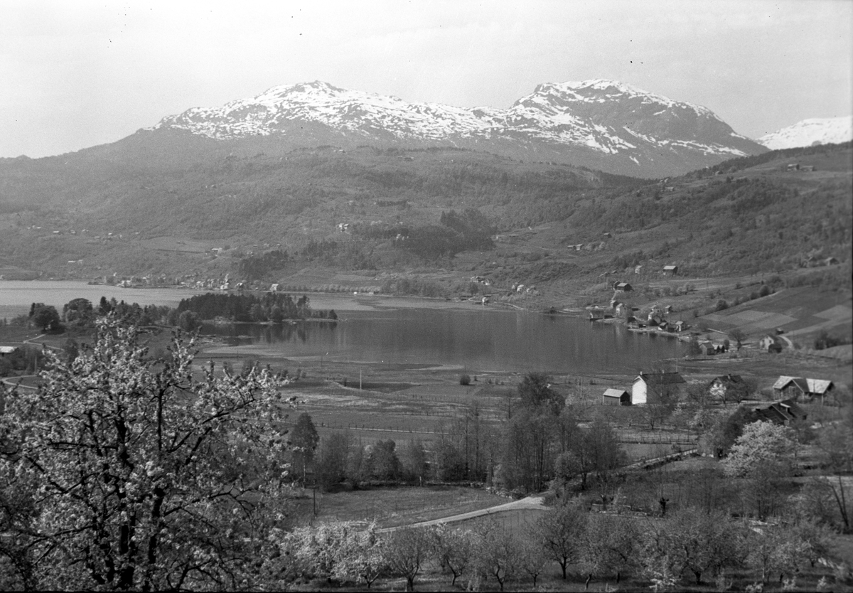 Anders Beer Wilse, Prot: Ulvik