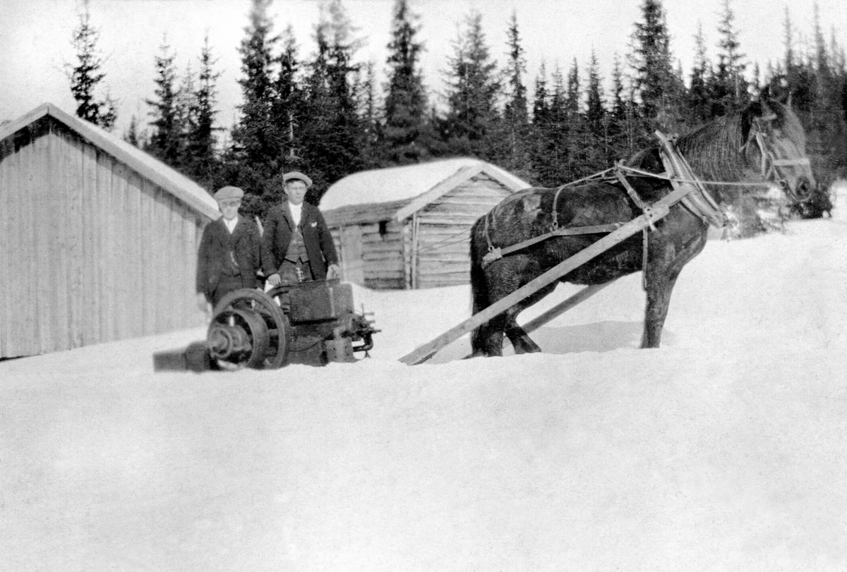 Anno Domkirkeodden, Treskelagsmotoren fraktes med hest og slede på Messenlien søndre, Ringsaker. Johan Olestad, Anton Engen.