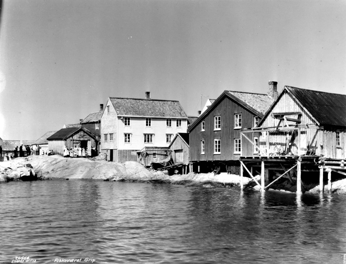 Anders Beer Wilse, Grip fiskevær