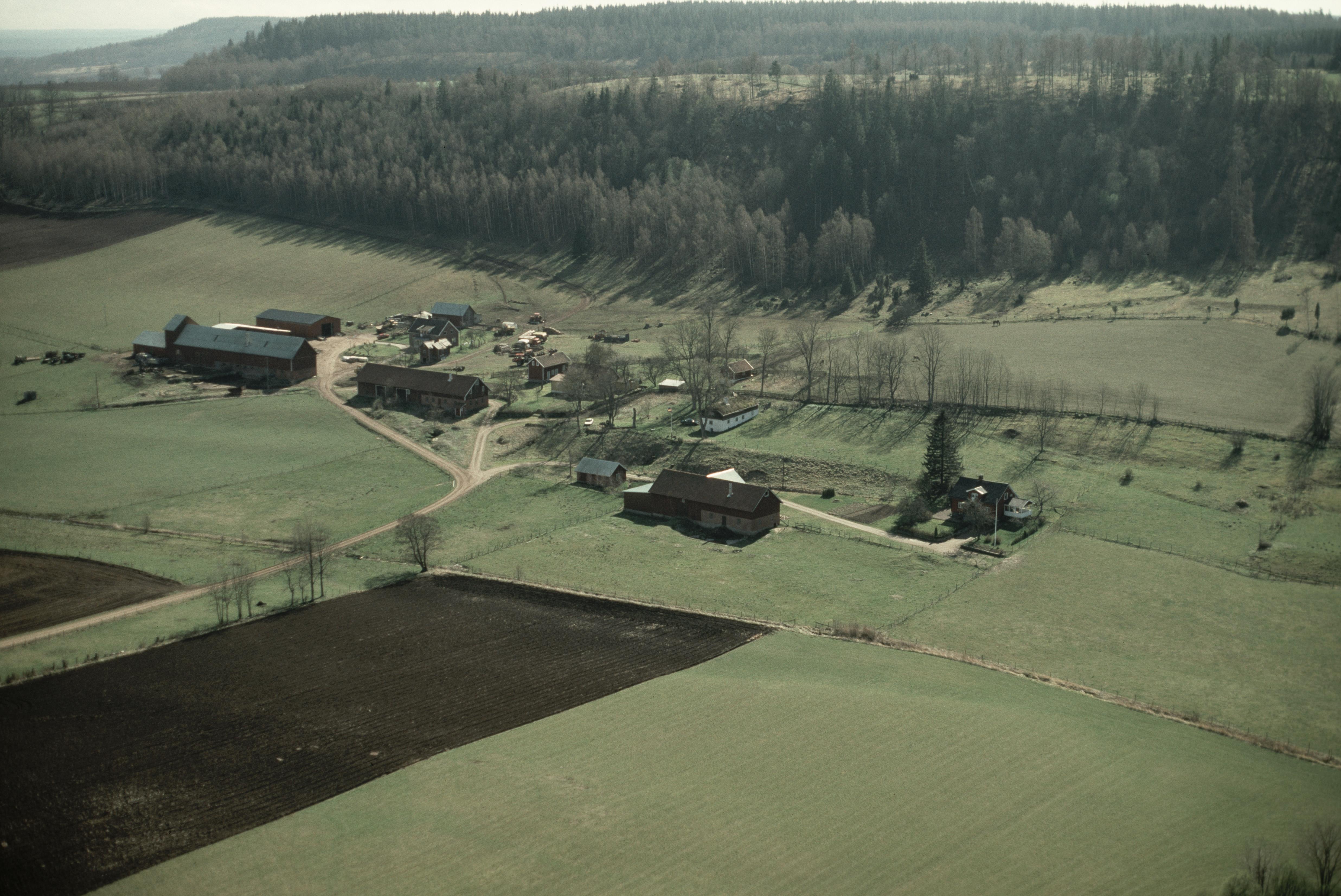 Jan Norrman, Dala 136:1