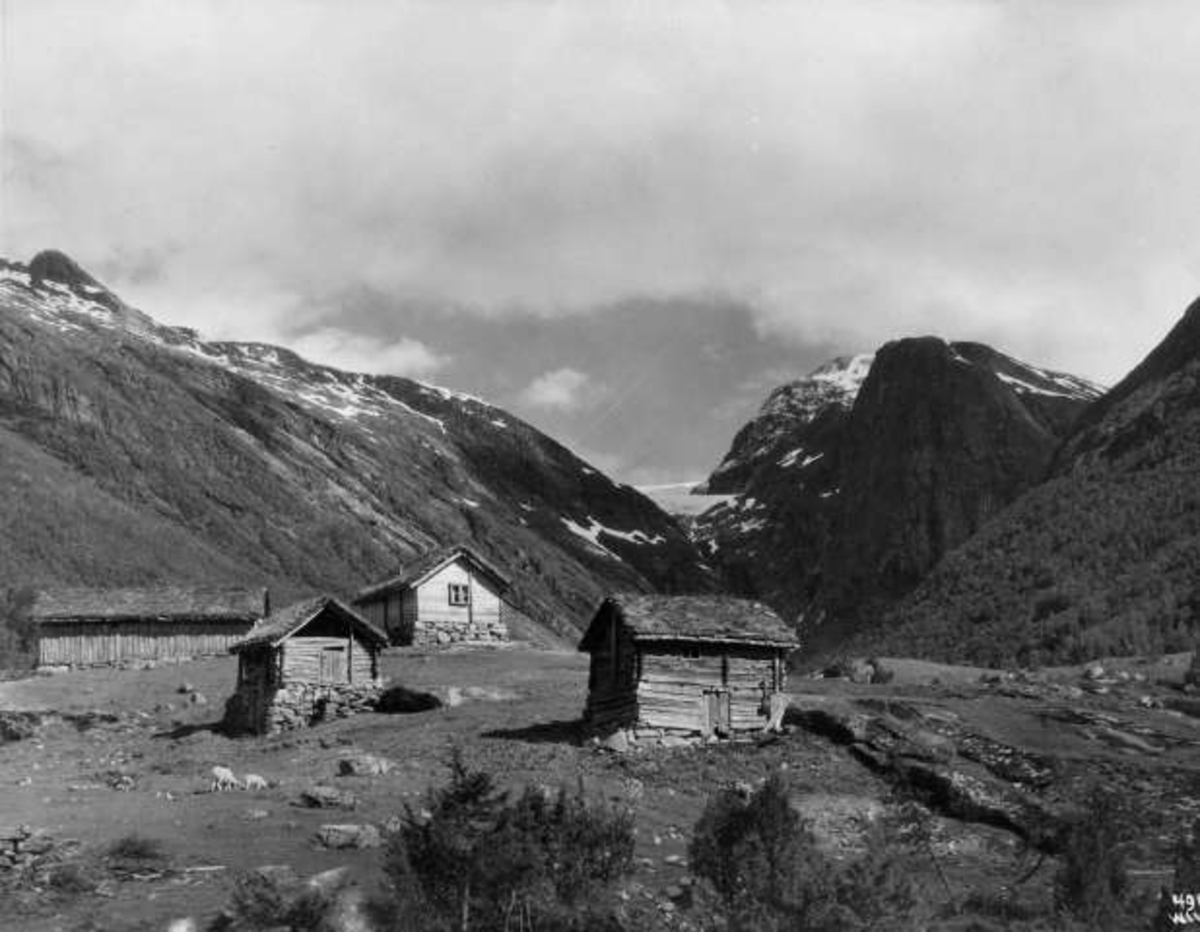 Anders Beer Wilse, -6573