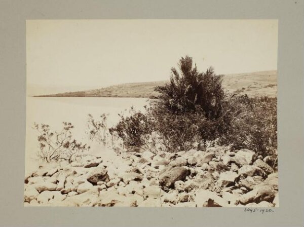 unknown, Sea of Galilee, site of Kerazeh (Chorazin)