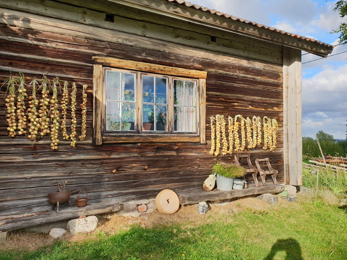 Jennie Tiderman-Österberg, Bohus, Kättboåsen, Venjan, Mora, 2018. Onions hang on a dryer.