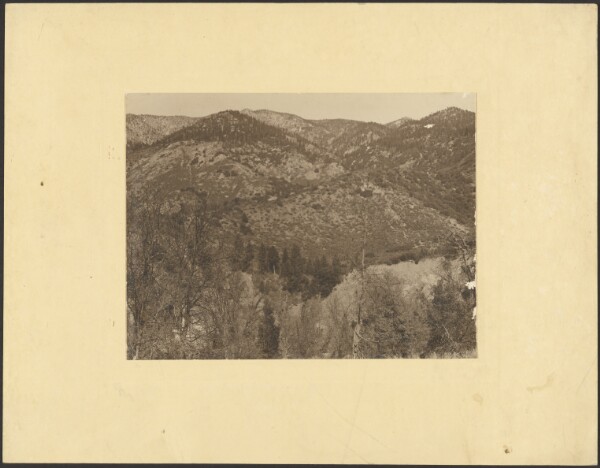Louis Fleckenstein, [Landscape with Trees in Foreground]