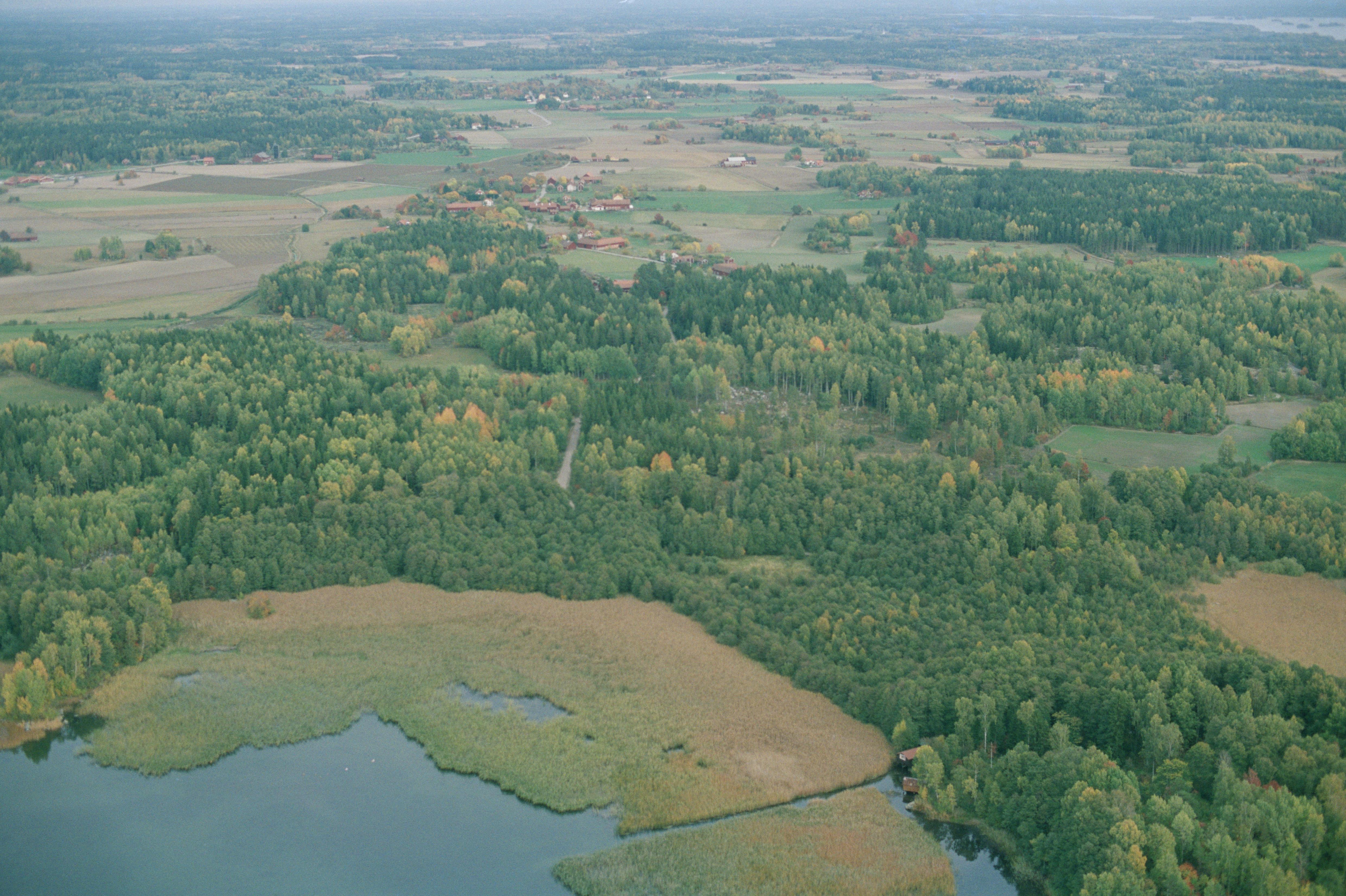Jan Norrman, Västermo 145