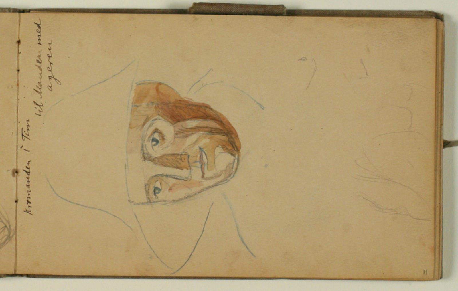Niels Larsen Stevns, Portrætstudie