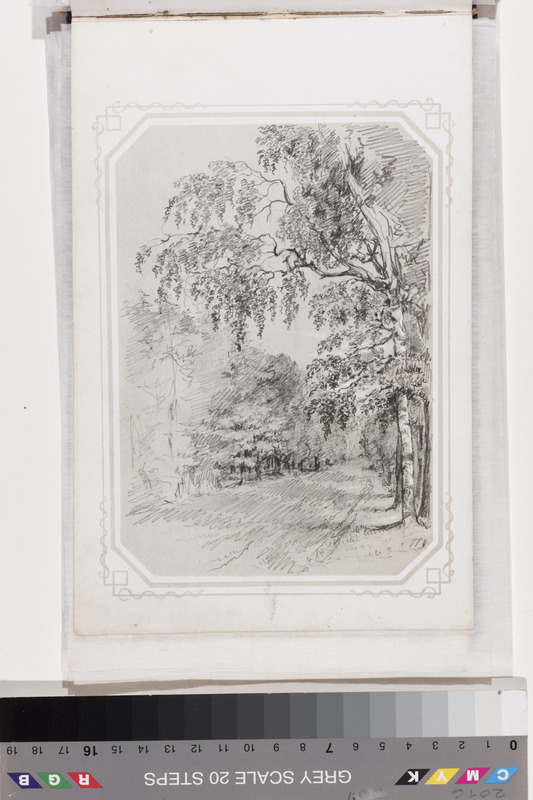Georg Friedrich (autor) Schlater, Forest road. Sheet from the Drawing Album