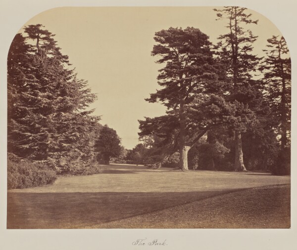 Unknown, The Park.