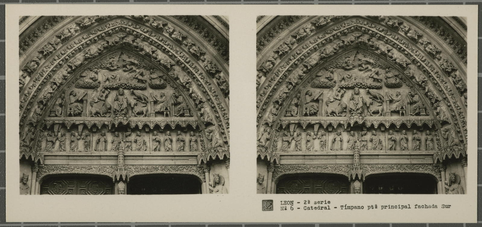 Desconegut, León