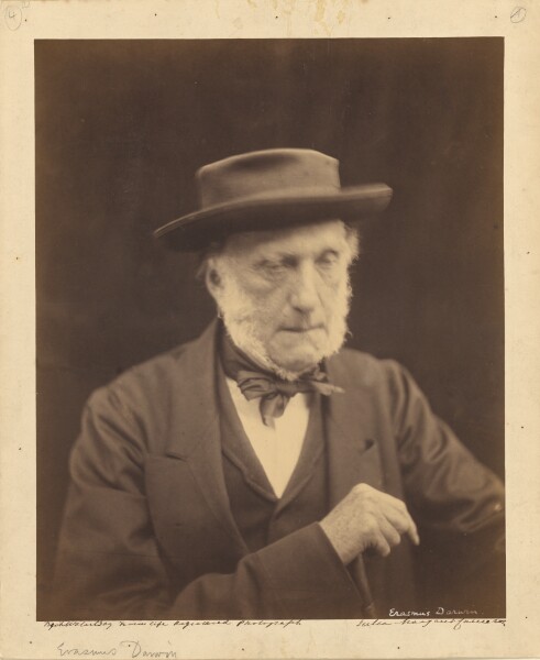 Julia Margaret Cameron, [Erasmus Darwin]