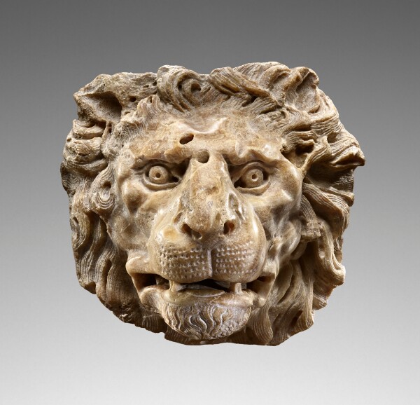 Unknown, Head of a Lion