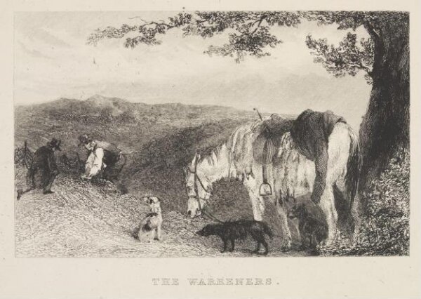 Unknown, The Warreners