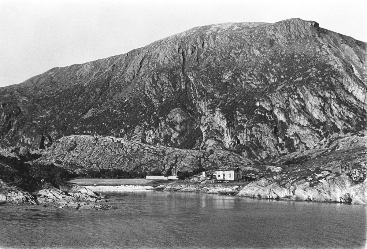 Anders Beer Wilse, Prot: Luröen