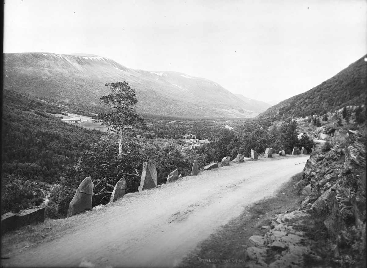 Anders Beer Wilse, Prot: Drivdalen mod Opdal