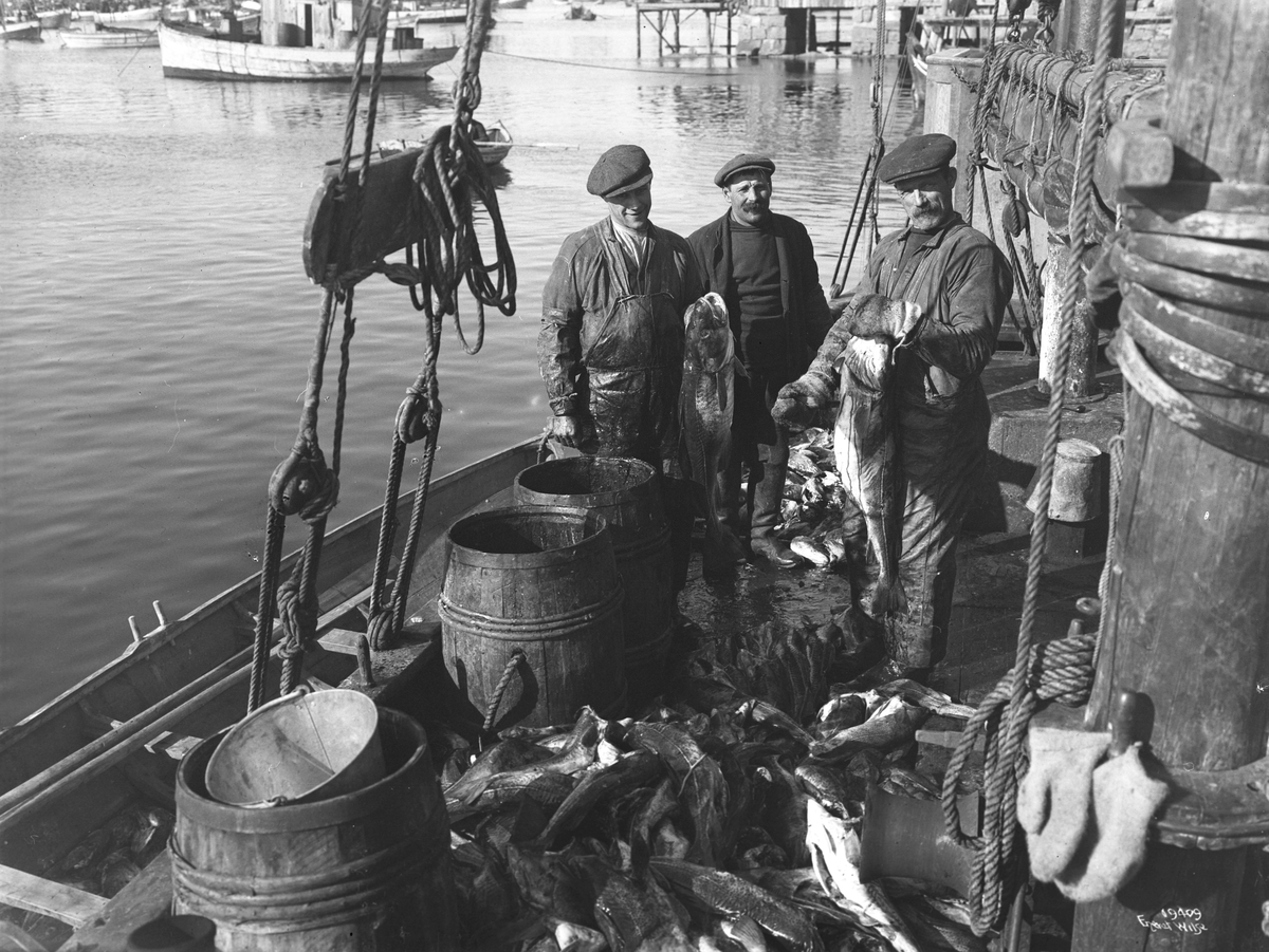 Anders Beer Wilse, Prot: Fisken tilberedes ombord