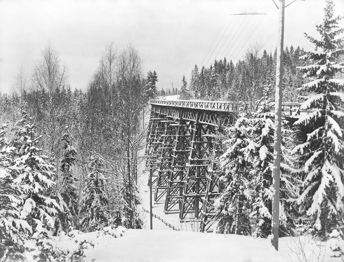 Anders Beer Wilse, Prot: Hvalstad - Broen fra enden 16/2 1904