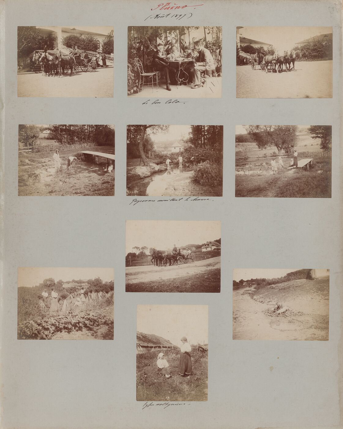 Benediktas Henrikas Tiškevičius, Kartono lakštas su dešimčia Benedikto Henriko Tiškevičiaus fotografijų ("Plužnas")