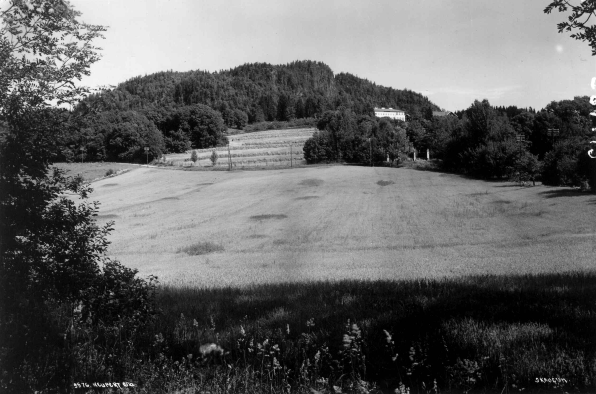 Hermann Christian Neupert, Skaugum, Asker. 1932. Gården sett fra jordene. Hovedbygningen i bakgrunnen. Skog.