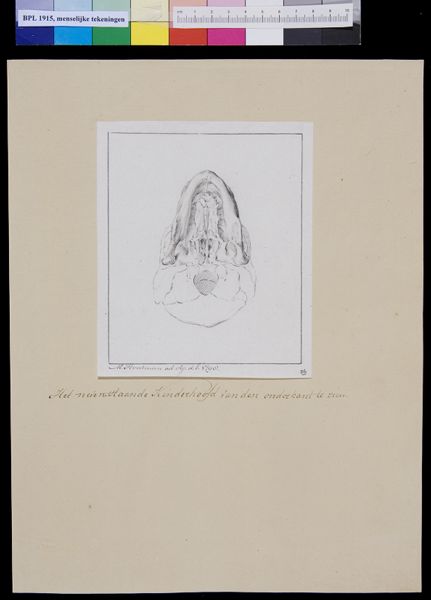M Houtman, Child's skull