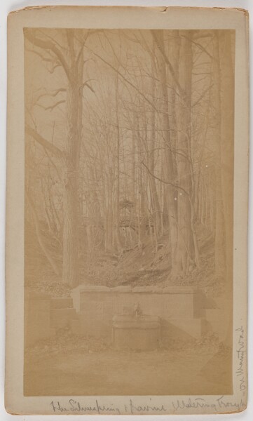 Unknown, The Silverspring & Ravine Watering Trough on Montwod.